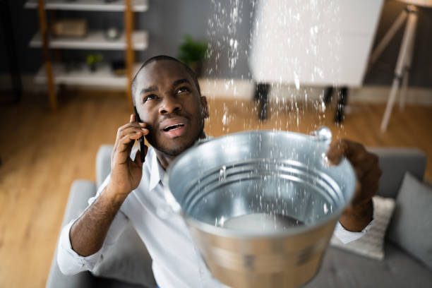 Best Professional water damage repair  in La Verne, CA
