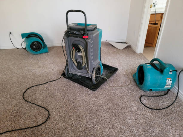 Best Professional water damage repair  in La Verne, CA