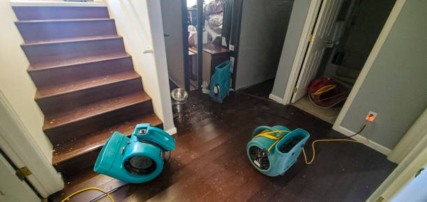 Best Water damage repair service  in La Verne, CA