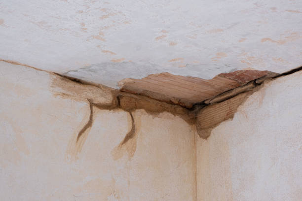 Best Flood restoration services  in La Verne, CA
