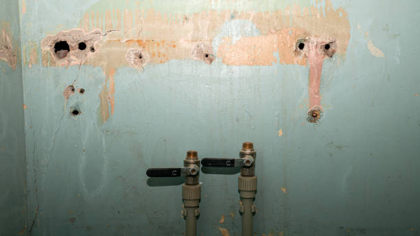 Best Flood damage cleanup  in La Verne, CA