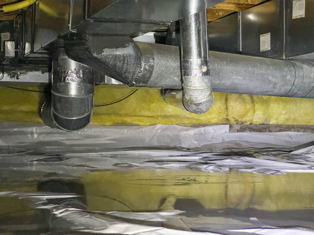 Best Mold removal after water damage  in La Verne, CA
