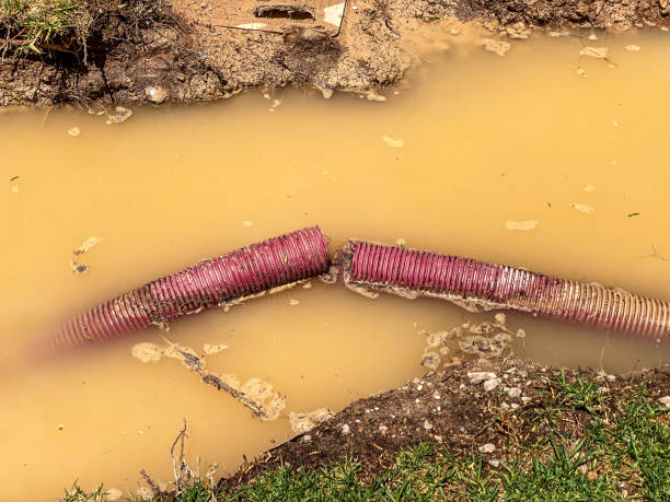 Best Basement water damage restoration  in La Verne, CA